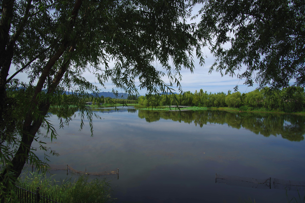 房山区长沟国家泉水湿地公园 闲走北京 - 超级走动的蚂蚁小哥 - 图虫