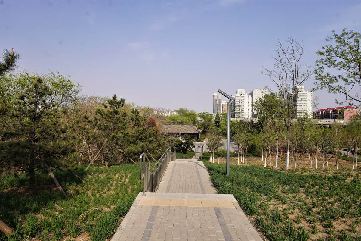 首钢松林公园 2022北京石景山 - 超级走动的蚂蚁小哥 - 图虫