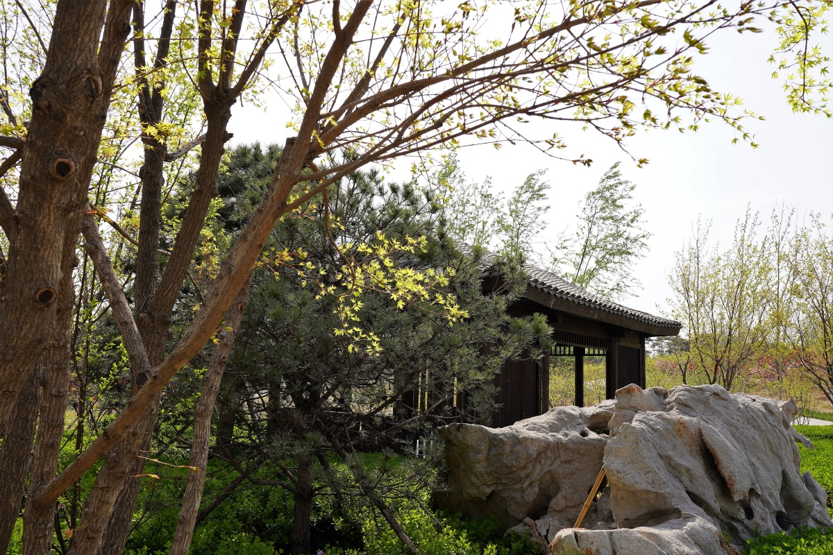 首钢松林公园 2022北京石景山 - 超级走动的蚂蚁小哥 - 图虫