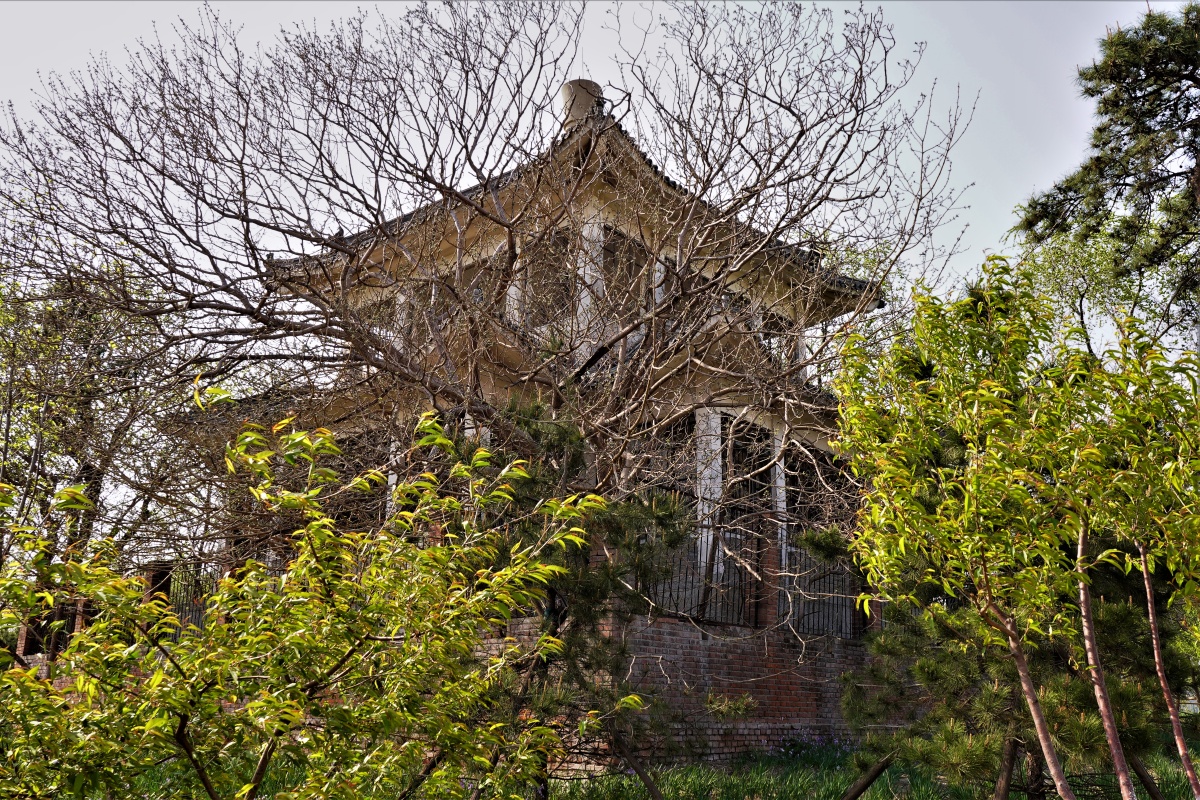 首钢松林公园 2022北京石景山 - 超级走动的蚂蚁小哥 - 图虫