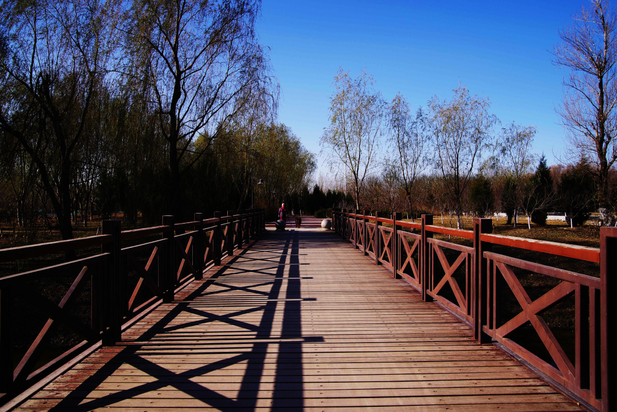 潞城药艺公园(通州区)闲走北京之公园系列 - 超级走动的蚂蚁小哥