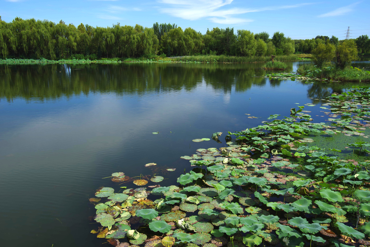 房山区长沟国家泉水湿地公园 闲走北京 - 超级走动的蚂蚁小哥 - 图虫
