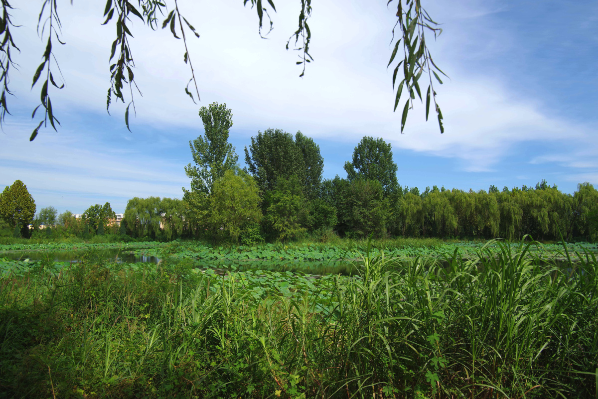房山区长沟国家泉水湿地公园 闲走北京 - 超级走动的蚂蚁小哥 - 图虫