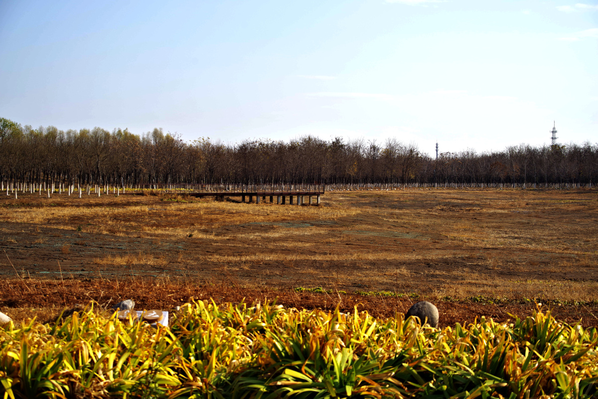 马驹桥湿地公园 二 闲走北京 - 超级走动的蚂蚁小哥 - 图虫