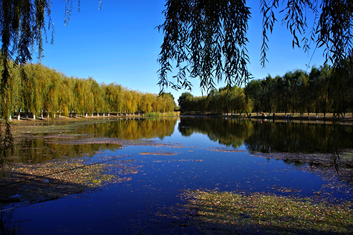 东坝千亩湖公园 闲走北京 - 超级走动的蚂蚁小哥 - 图虫