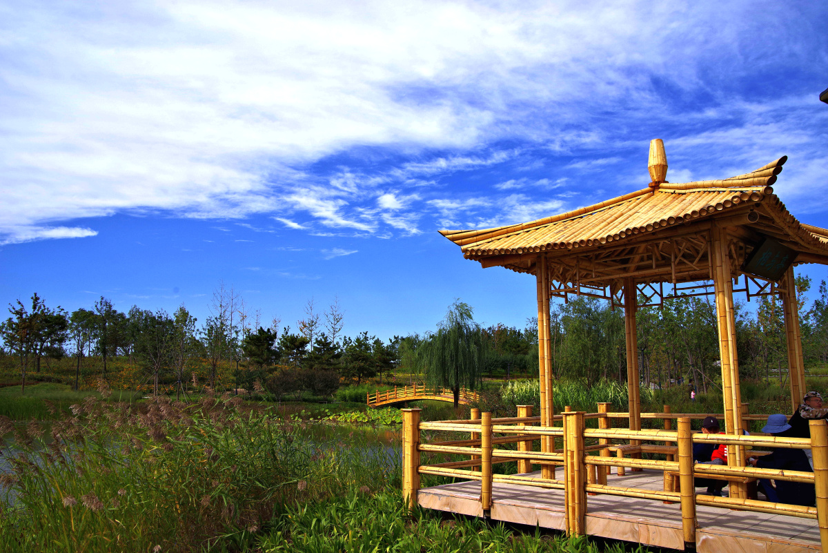 城市绿心森林公园二闲走北京