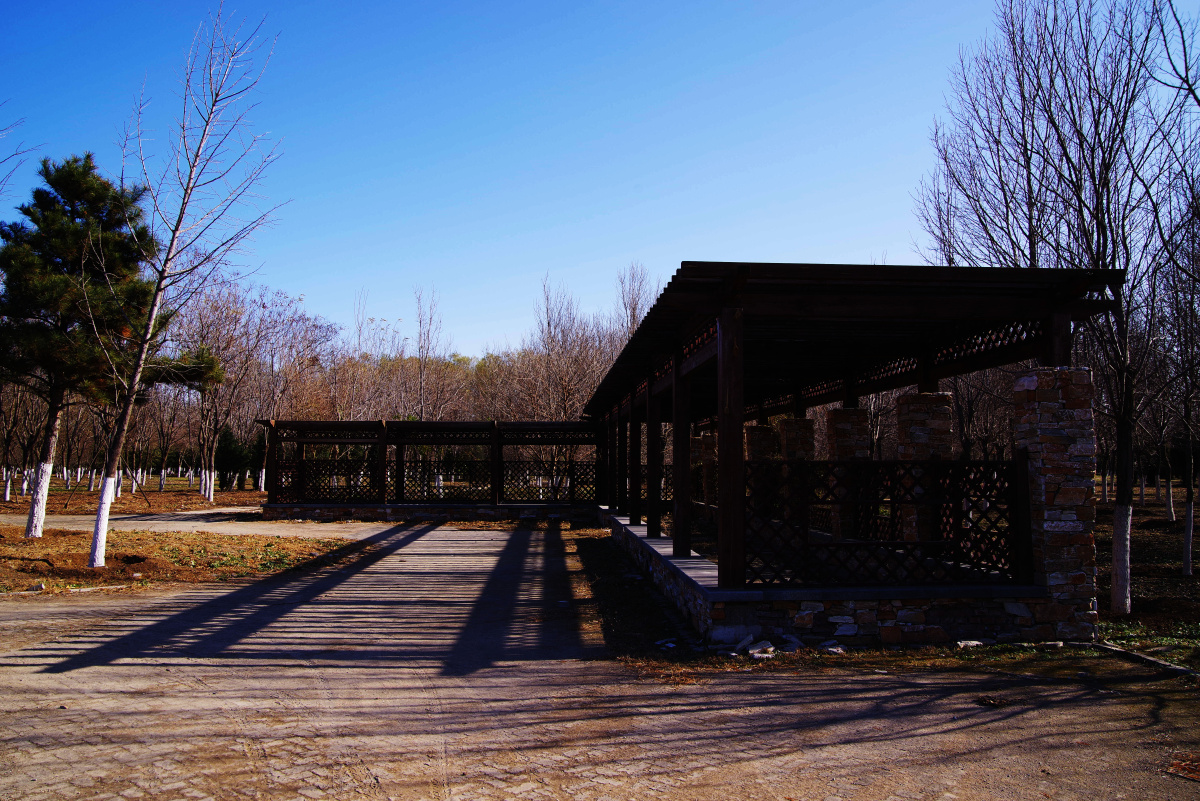 潞城药艺公园(通州区)闲走北京之公园系列 - 超级走动的蚂蚁小哥