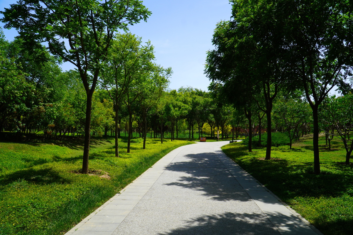 海淀园外园船营公园 闲走北京 - 超级走动的蚂蚁小哥 - 图虫