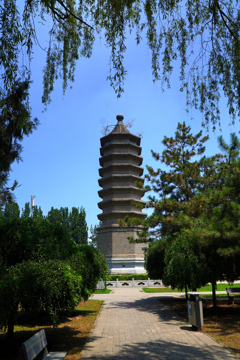 古塔公园 北京朝阳 - 超级走动的蚂蚁小哥 - 图虫