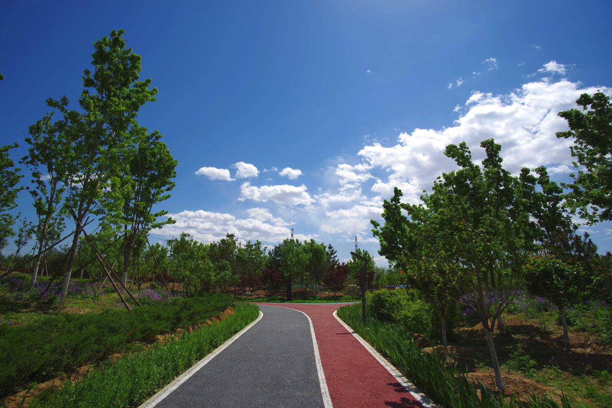 朝阳区镇海寺城市公园二期 闲走北京 - 超级走动的蚂蚁小哥 - 图虫