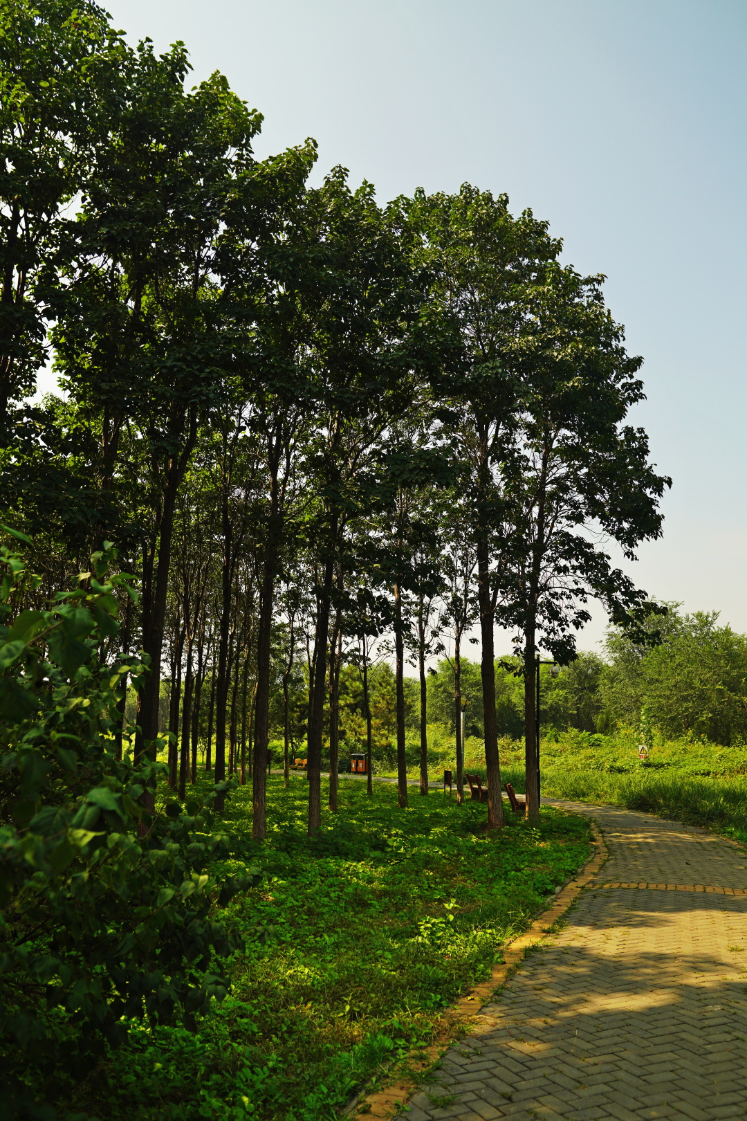 半塔郊野公园 北京昌平