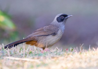 790710