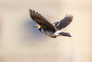 792061