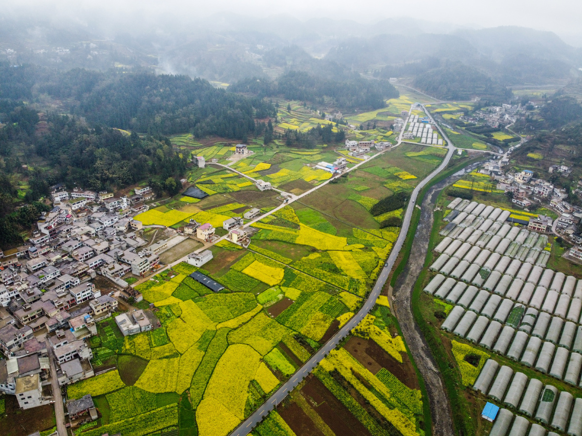 贵州毕节:春日新农村