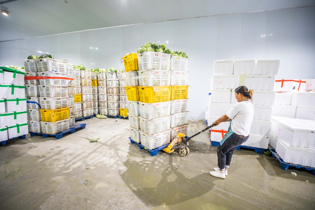 贵州威宁冷链物流助力黔货出山