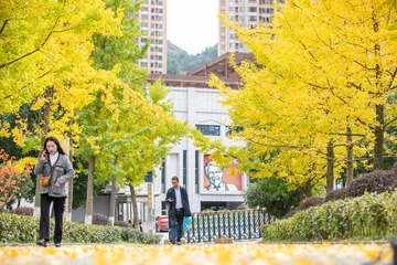 10月21日，市民在贵州省毕节市街头散步赏景。 (7)
