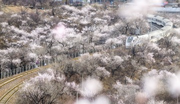 DSC_0993 (2)