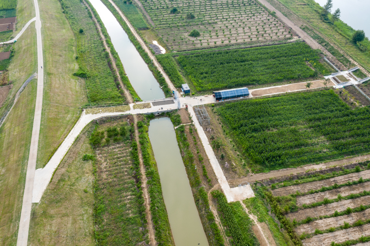 安徽颍上农田水利助丰收