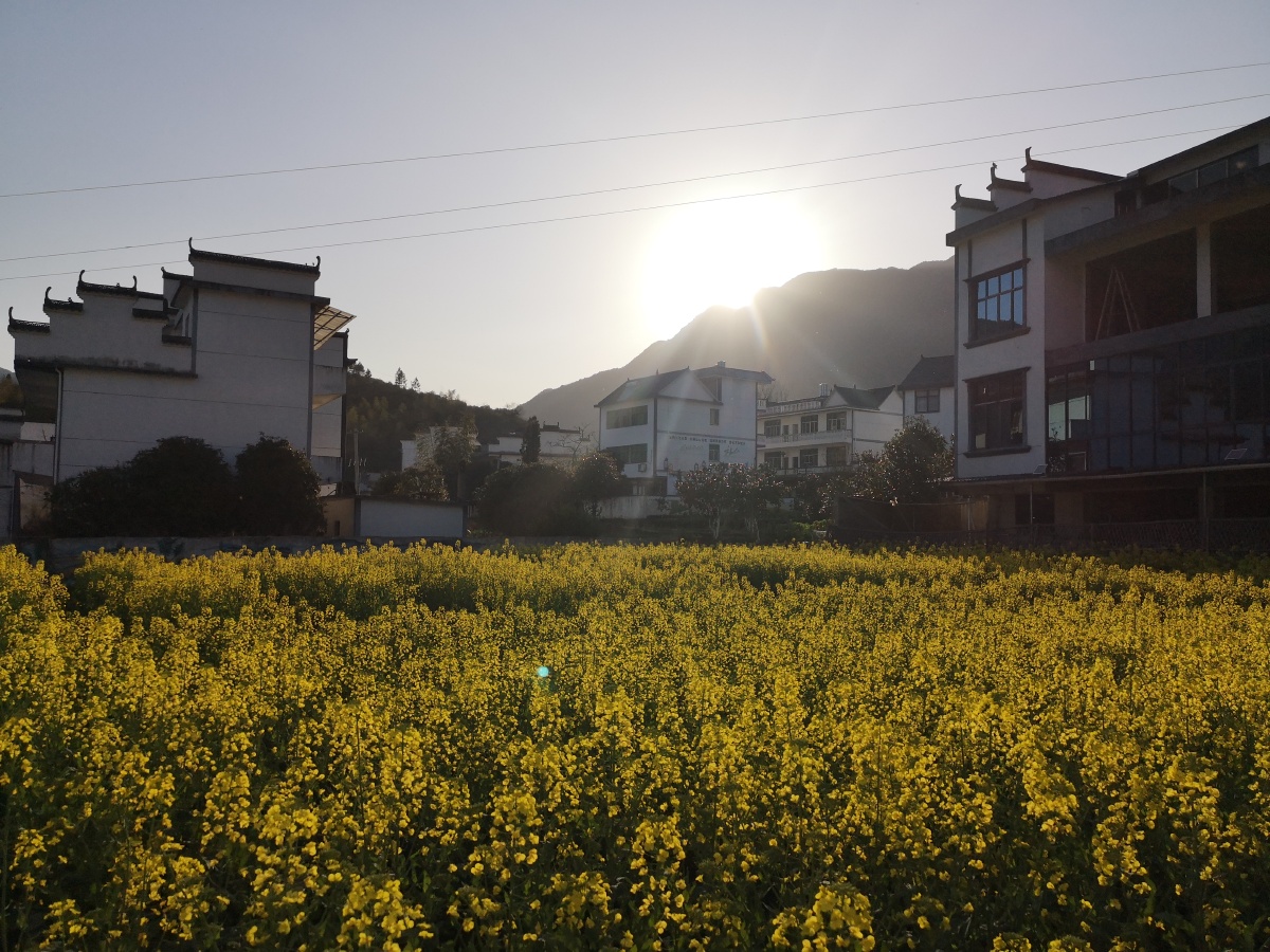 山塘村是江西玉山县的秀美乡村旅游点是太甲景区的重要组成部分以原