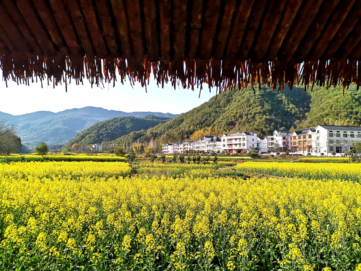 山塘村是江西玉山县的秀美乡村旅游点是太甲景区的重要组成部分以原