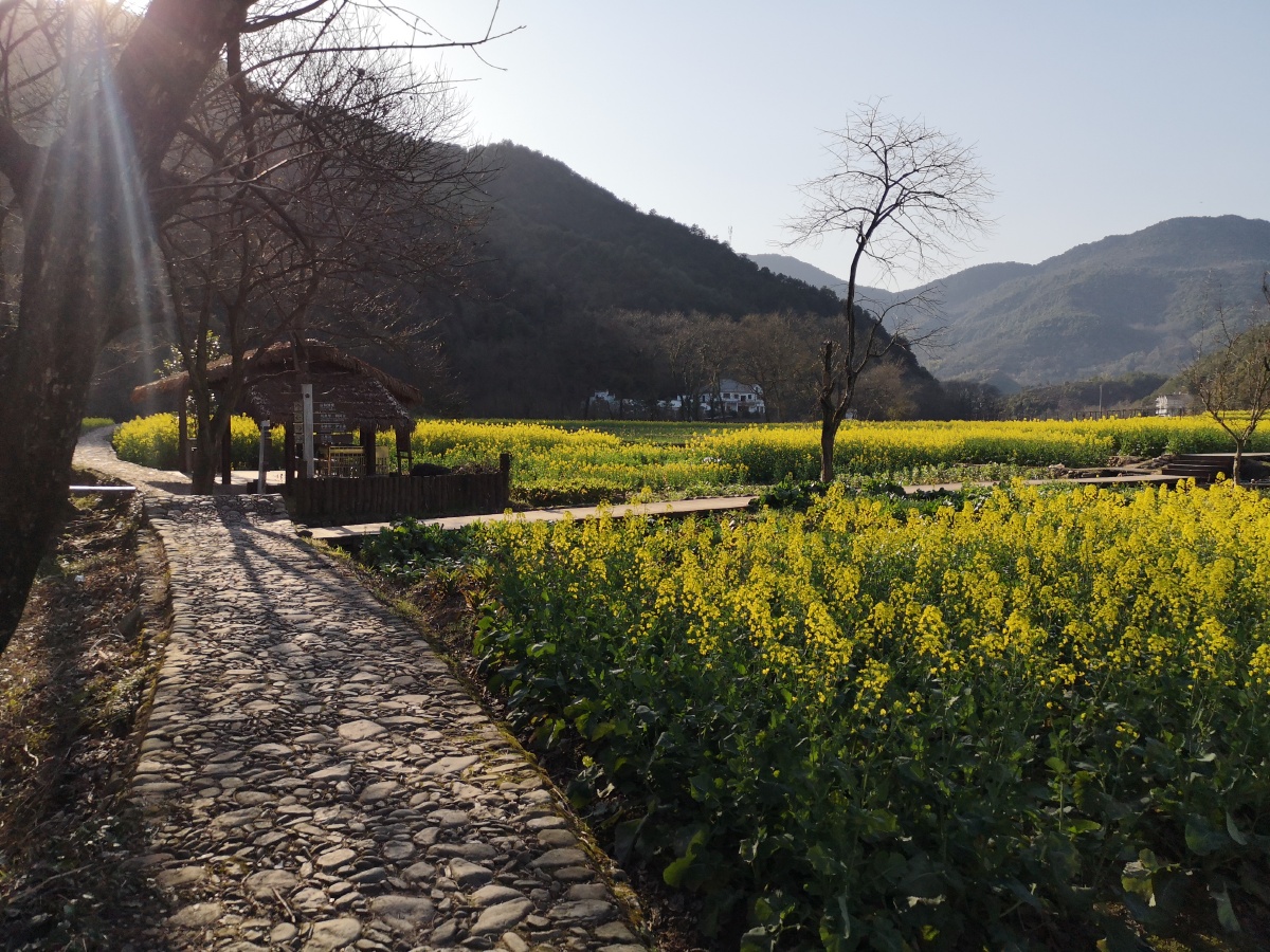 山塘村是江西玉山县的秀美乡村旅游点是太甲景区的重要组成部分以原