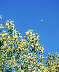 02F315DA-3D33-49F0-B3FF-C6792EF6CB85/L0/001