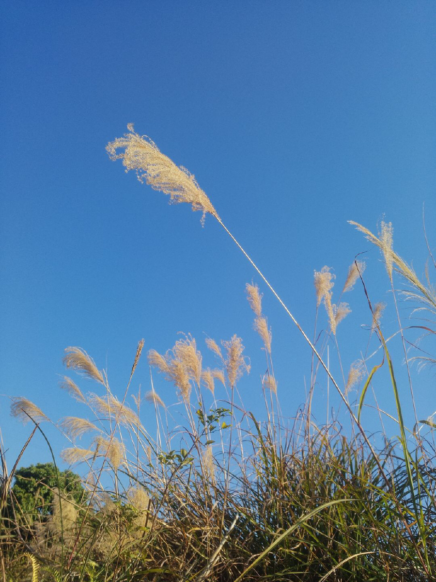 冬日暖阳~ - 风过云卷天舒 - 图虫