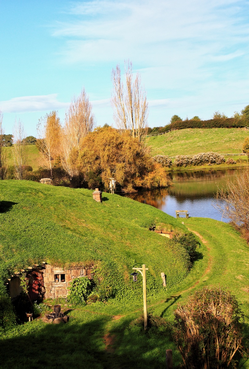 秋天拍摄于新西兰hobbiton霍比特村湖光山色秋景倒影羊群指环王拍摄地