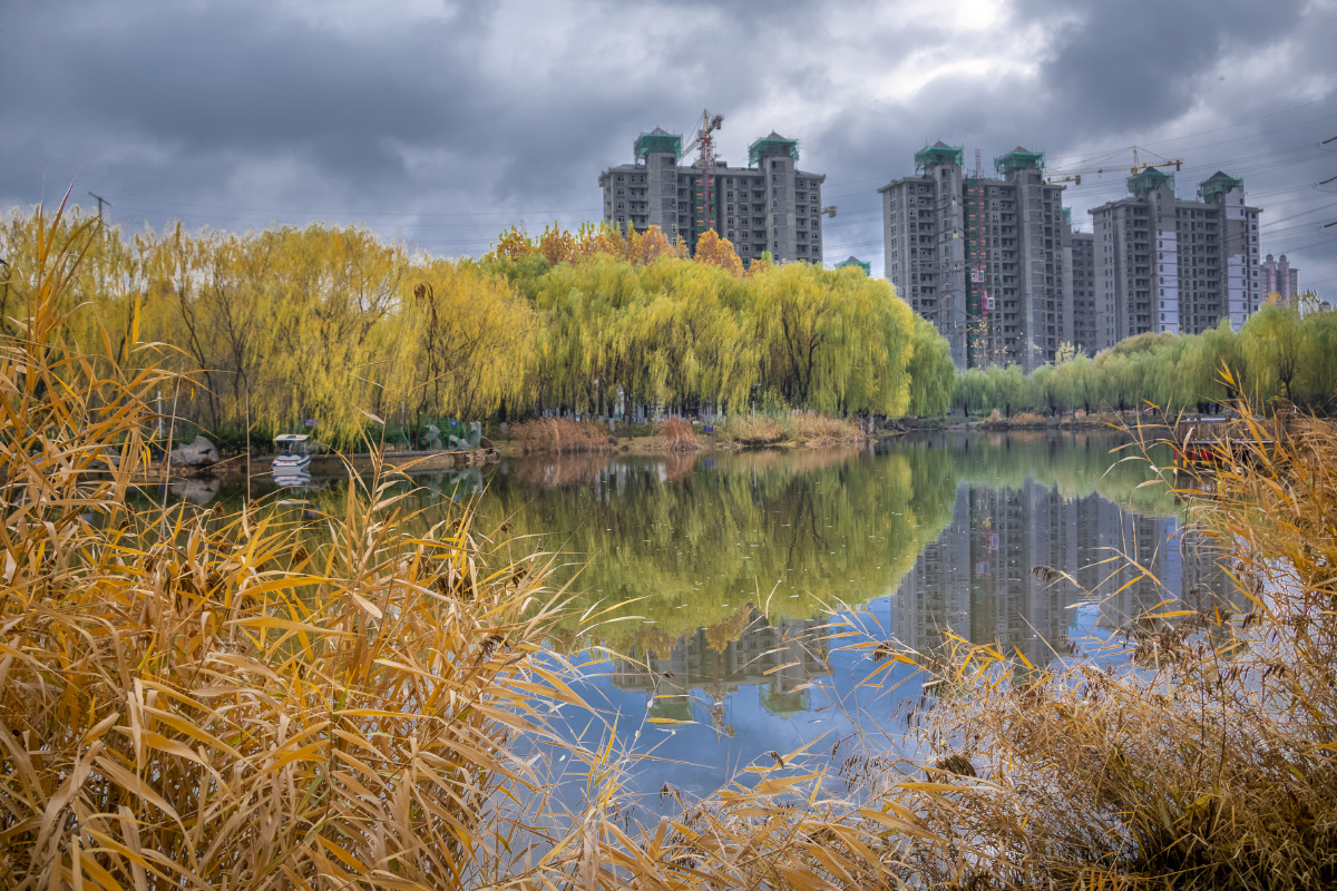 晋州时代公园的深秋2020