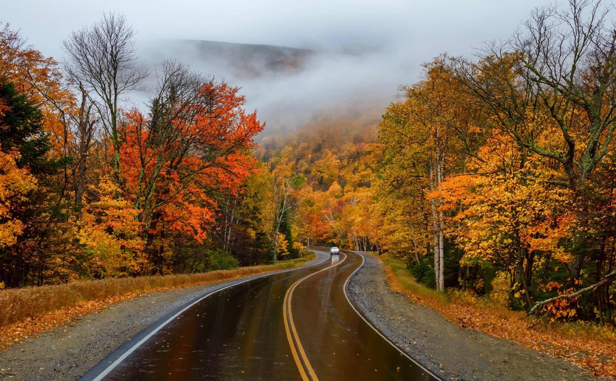 美东的秋色(十五)