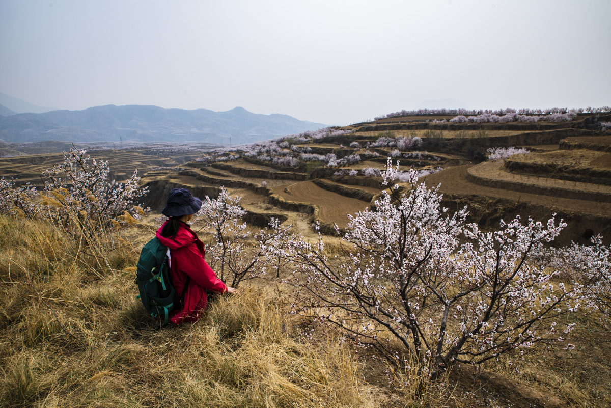 2021.4.10,河北省张家口市下花园区定方水乡.