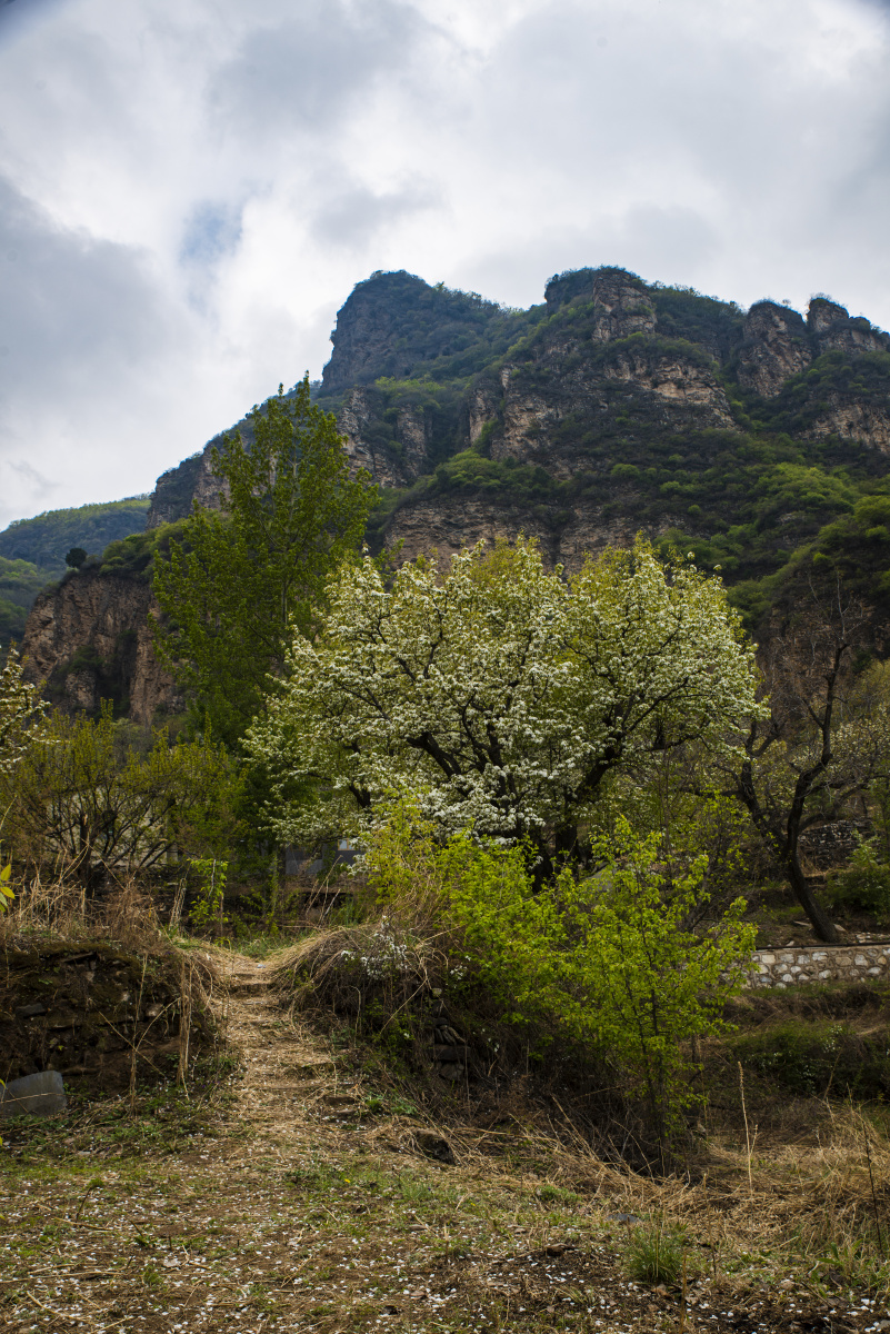 世外桃源梯田梨花和老屋大滩村杏黄村三流水村3