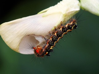 P1010766