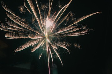 1168075