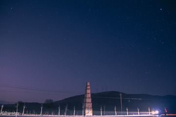 1165919