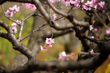 38E11172-6C47-46BB-BD04-703EF09DF5E7/L0/001