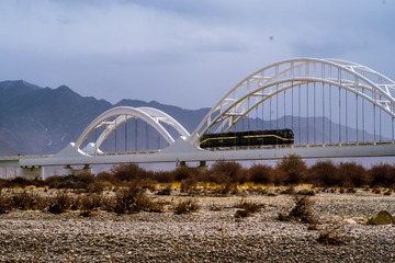 49559