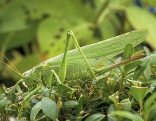 L1001577