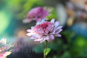 30371