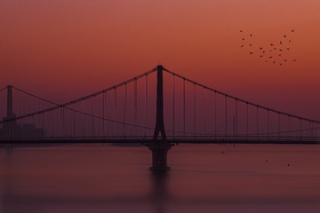 977305
