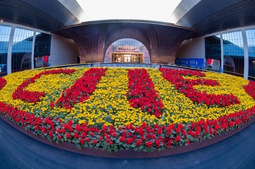 组照-第二届中国国际进口博览会-王鹤春13817600823--DSC_3746a