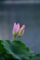 1353198