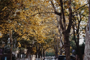 2016-10-06 02.56.10 1