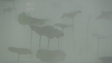 54FA2D8D-FE07-4B5B-A459-B3C2C5A98B8F/L0/001