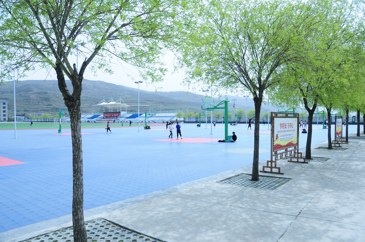 954542752.jpg