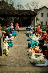 _DSC7902