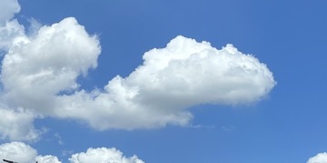 981BAE44-7901-4B15-9B56-6F86374F2F9D/L0/001