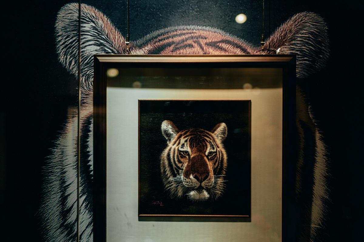 黑龙江省博物馆里的东北虎标本