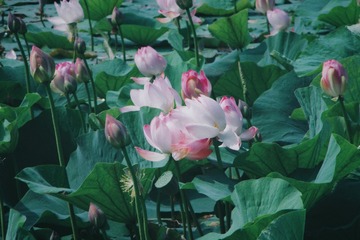 61B305EC-87CC-42BE-A892-5DD5EB5864FA/L0/001