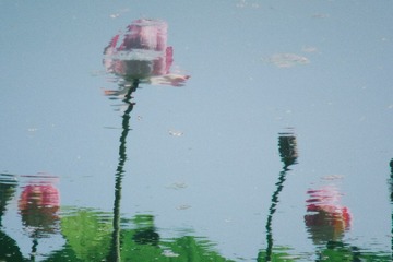 92B4A5DE-F095-4D52-A86C-43BFF1E16AF0/L0/001